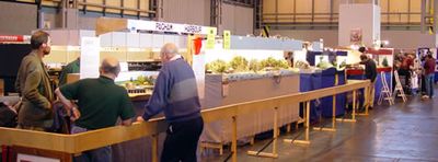 Narrow gauge layout line up at Warley 2006 - Pagham Harbour, H Bach, Castle Rock (town module) and La Trinité sur Mer.