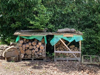 Area the log store was to go in, currently occupied by two log shipment crates and a lot of undergrowth.