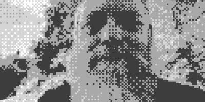 An image description
