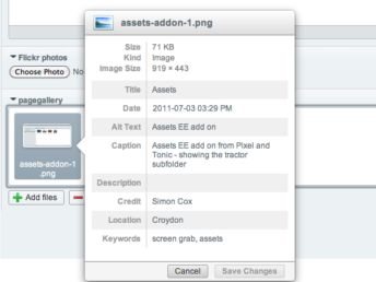 Assets add on showing pop up panel with image details including date, alt text and caption.