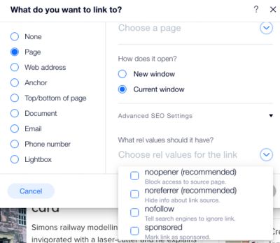 Wix advanced SEO link options.