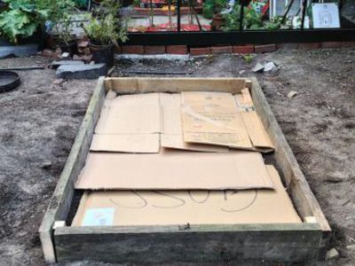 Base of raised bed lined with cardboard to suppress weeds and retain moisture.