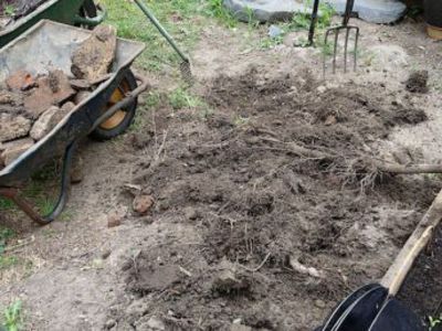 There were a lot of roots from the Rhododendron and the Laurel to dig out.