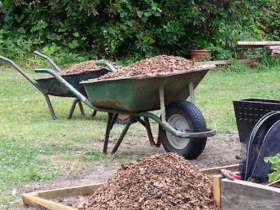 We used bark chippings from when we took down several trees, for the path.