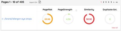 Safecont Content audit tool Pages Report.